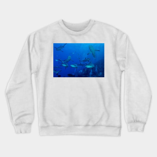 Grey Reef Sharks Great Barrier Reef Australia Crewneck Sweatshirt by seaearthandsky